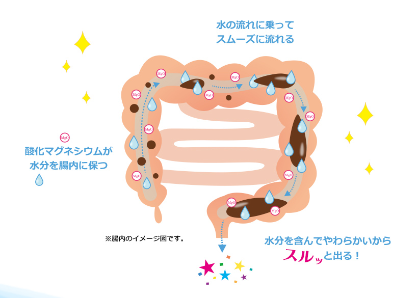 腸内のイメージ